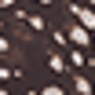 Кошелек на молнии с принтом- Заказать в России