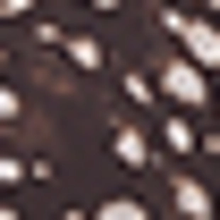 Кошелек на молнии с принтом- Заказать в России