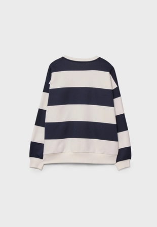 Толстовка с вышивкой в полоску- Заказать в России