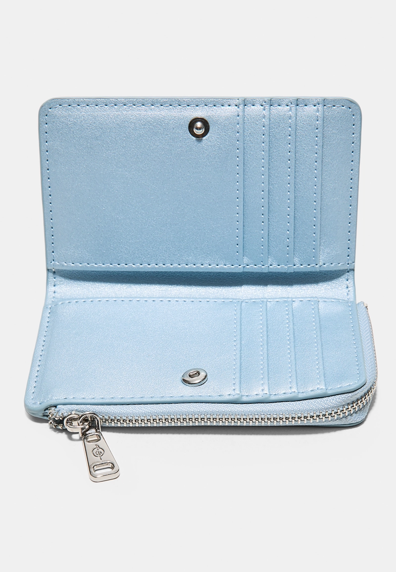 БЛЕСТЯЩИЙ ВИЗИТНИЦА